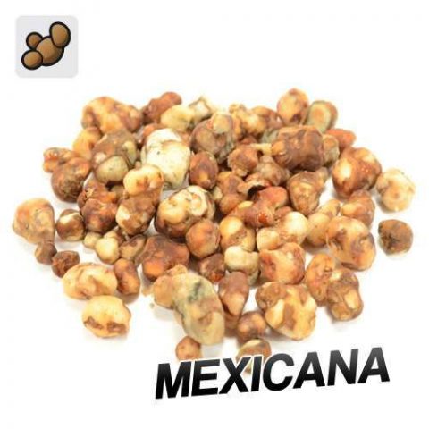 Sclerotia Mexicana A (15 grams) Online