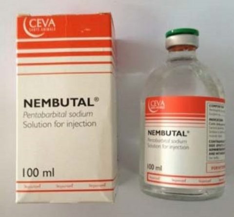Nembutal Sodium 100mL Online