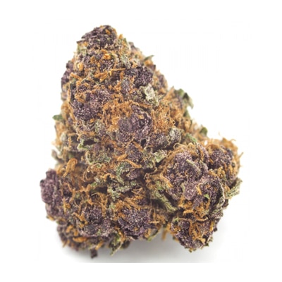 Purple Kush weed strain