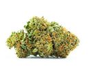 Platinum GSC weed strain Online