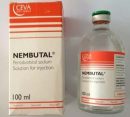 Nembutal Pentobarbital Sodium Solution For Injection